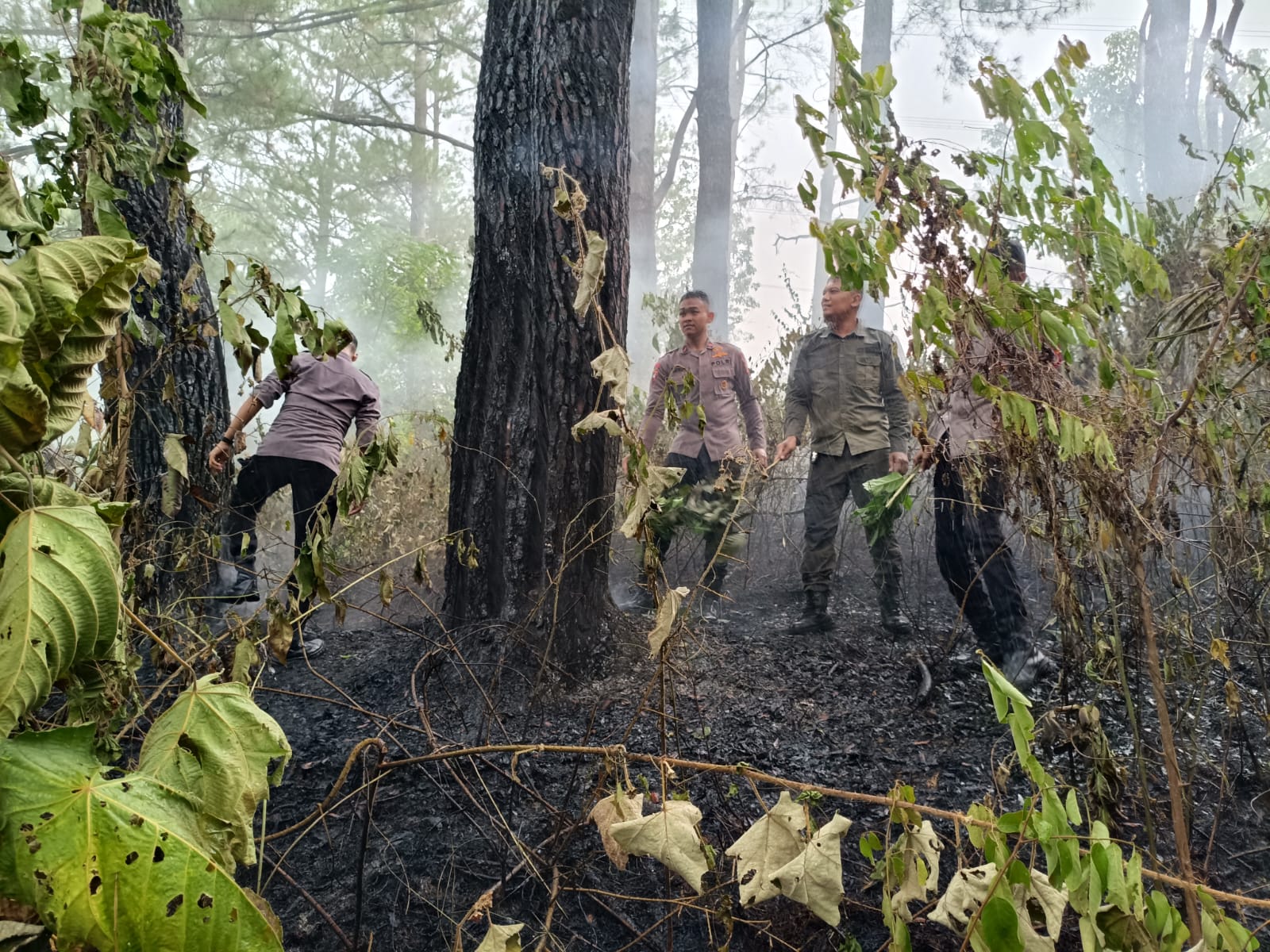 Quick Response Brimob Polda Aceh Tangani Kebakaran Hutan di Lembah Seulawah