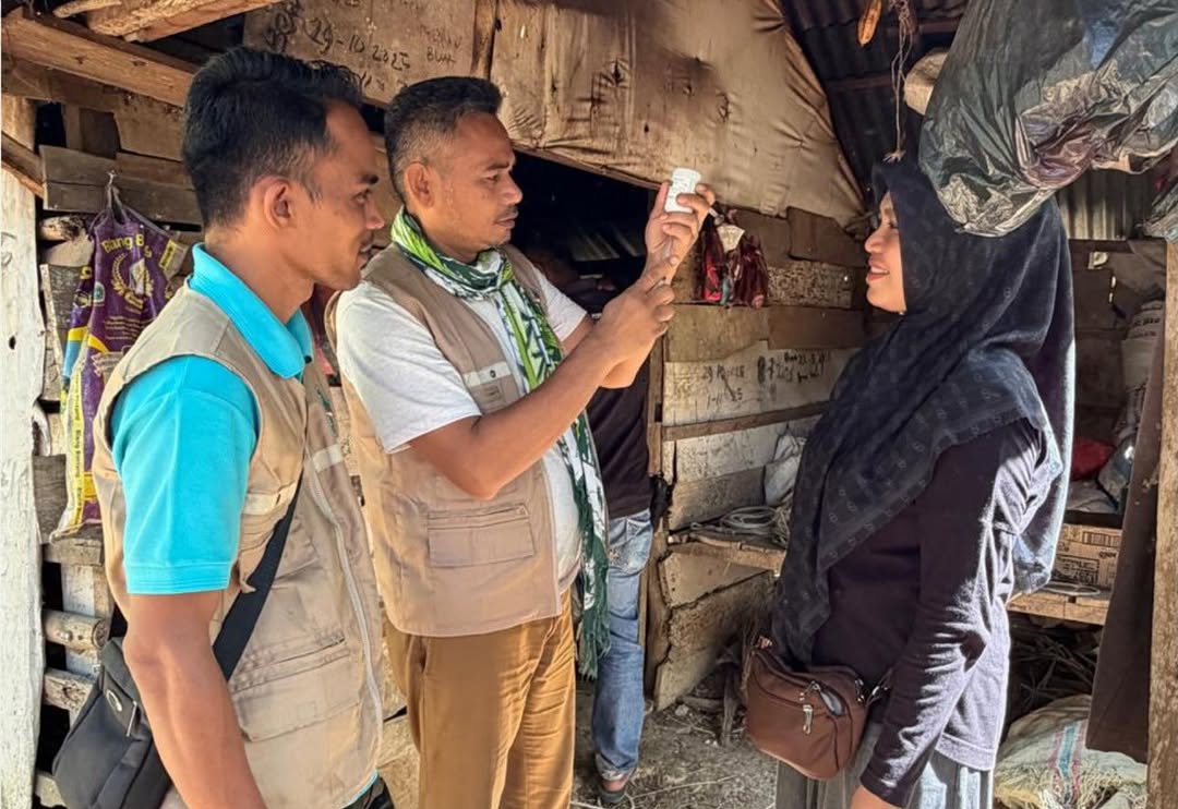 Dinas Pertanian Aceh Besar Targetkan Vaksinasi PMK untuk 50 Ekor Sapi di Ingin Jaya